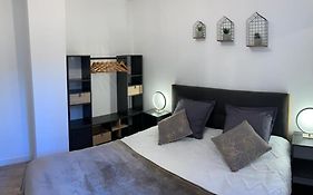 Lumineux Appartement Capitole Plein Centre